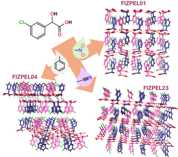 Solvent effects on polymorph selection