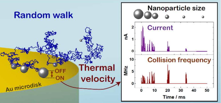 Collision Dynamics During the Electrooxidation of Individual Silver Nanoparticles