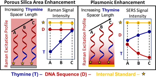 Surface-Area Enhanced Raman Spectroscopy of DNA in Porous Silica: A Quantitative and Reproducible Alternative to Plasmonic-Based SERS